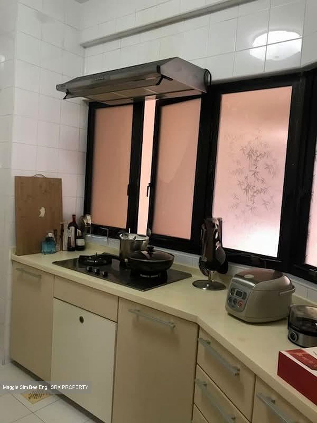 Bayshore Park (D16), Condominium #593593481